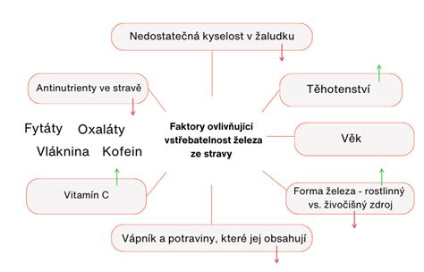 Porovnanie vstrebateľnosti hemového a nehemového železa