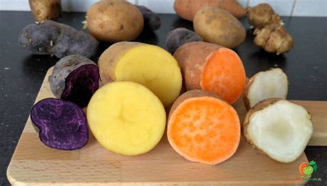 Rôzne druhy a farby sladkých zemiakov