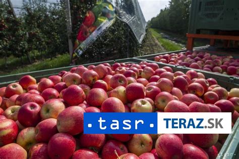 Ilustračné foto jabĺk