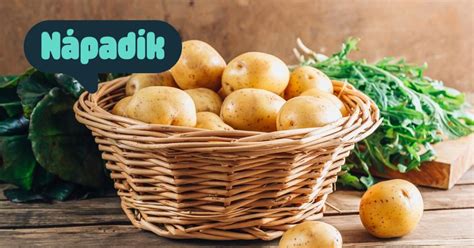 rozmanitosť zemiakových koláčov