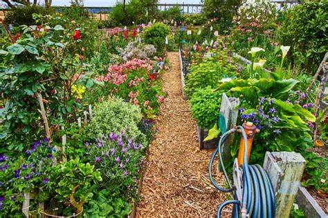 Plánovanie zeleninovej záhrady