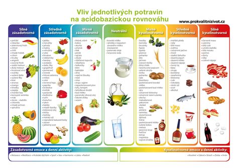 Infografika porovnávajúca nutričné hodnoty mäsa a rastlinných potravín