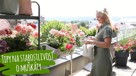 starostlivosť o rastliny na balkóne