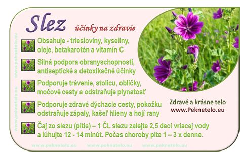 Infografika s dávkovaním a odporúčaniami pre čaj Slez nebadaný