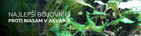 Infografika o boji proti riasam v akváriu