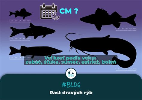 Ilustrácia rôznych spôsobov úpravy rýb