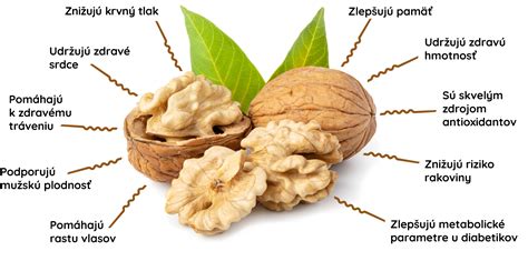 Ilustračná fotka čerstvej cukety a vlašských orechov