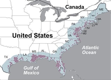 Mapa šírenia baktérie Vibrio vulnificus v USA