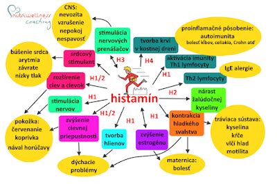 Štruktúra molekuly histamínu a jeho pôsobenie