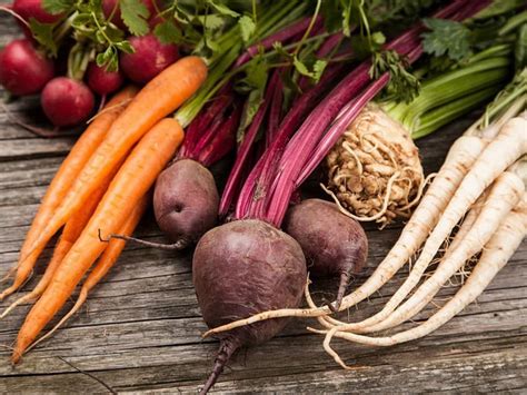 Obrázok koreňovej zeleniny - mrkva, petržlen, cvikla