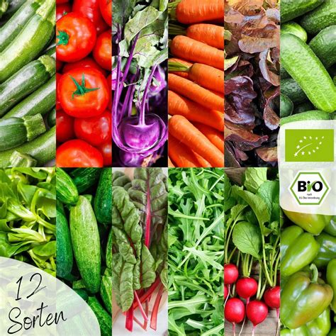 Zostava sezónnej zeleniny