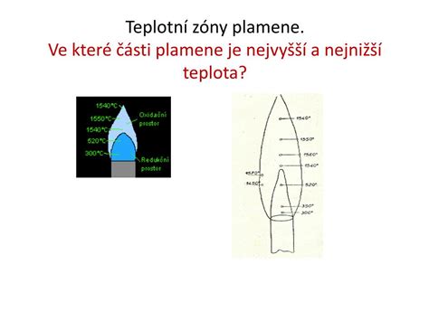 schematické znázornenie plynového mechúra ryby