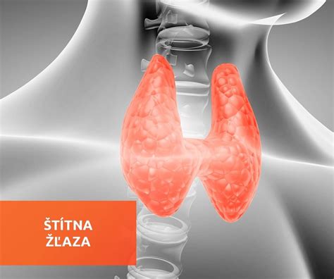 Infografika o dôležitých živinách pre štítnu žľazu