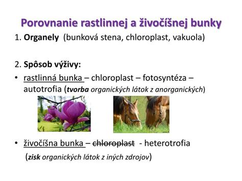 Porovnanie ekologickej stopy živočíšnej a rastlinnej produkcie