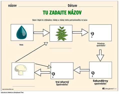 Ilustrácia morského potravového reťazca