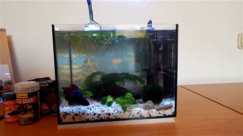 Akvárium pre bojovnicu