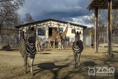 Zvieratá v Zoo Bratislava