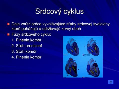 Schematické znázornenie srdcového cyklu