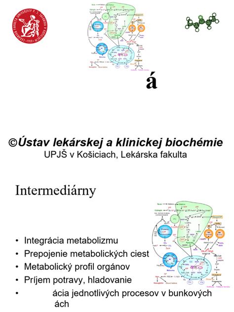 Infografika: Metabolizmus fruktózy v pečeni