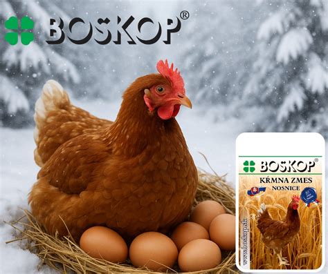 Výživa sliepok