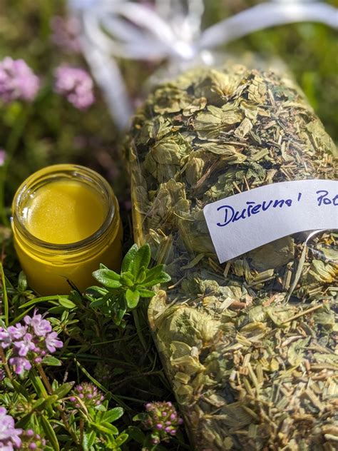 Obrázok s bylinkami ako valeriána, levanduľa a harmanček