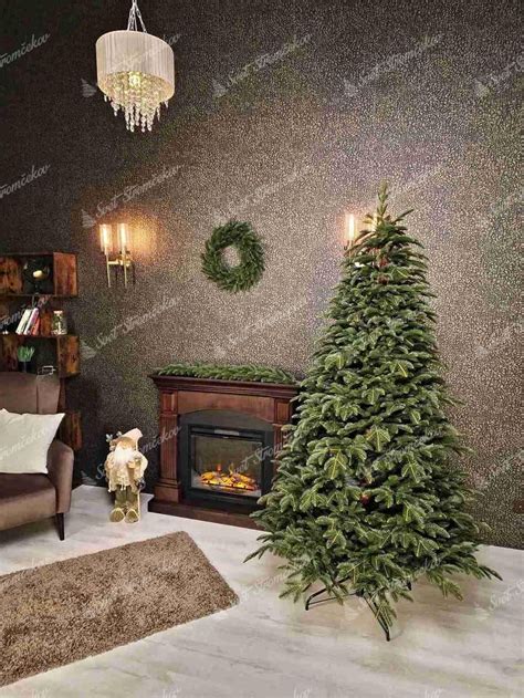 Vianočný stromček jedľa normandská v interiéri