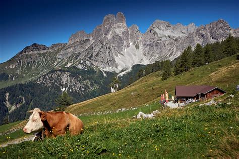 švajčiarska alpská krajina s pastvinami