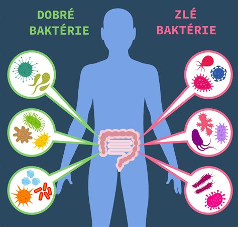 Ilustrácia vplyvu spánku a stresu na telesnú hmotnosť