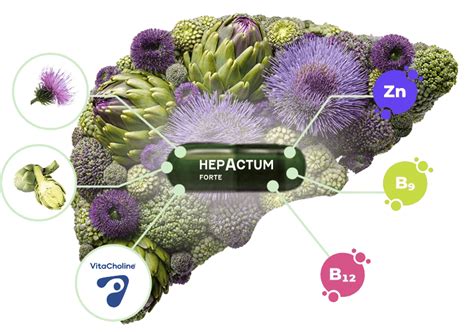 Infografika nutričných hodnôt pečene