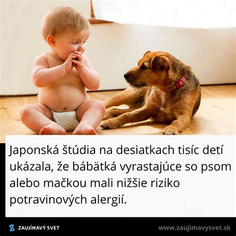 Dieťa hrá sa so psom