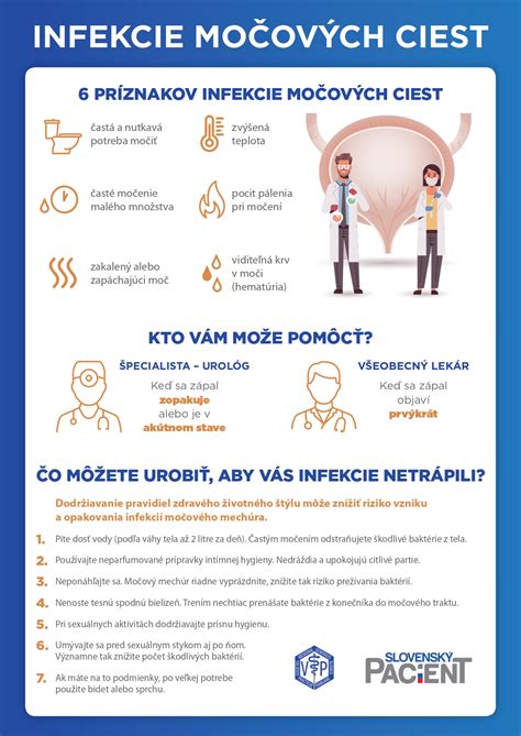 infografika o močových cestách