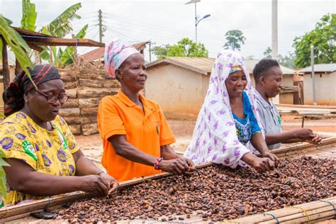Program Cocoa Life