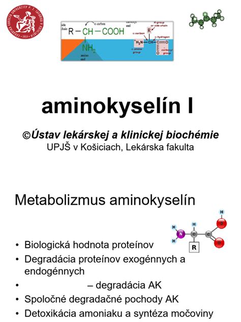 Schéma zobrazenie aminokyselín obsahujúcich síru