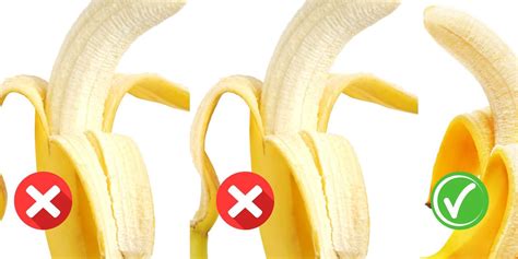 Rozmanitosť odrôd banánov