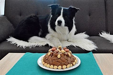 Ilustrácia torty pre psa