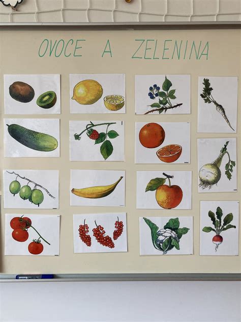 Ilustrácia zimnej zeleniny