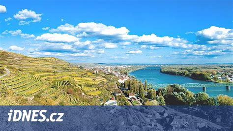 Vinohrady v okolí Milotíc