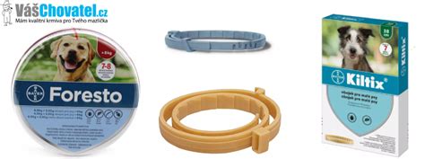 Pes s antiparazitným obojkom