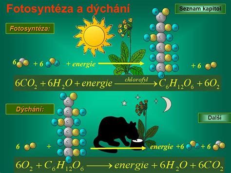 grafika znázorňujúca vzťah medzi pozemským a duchovným chlebom