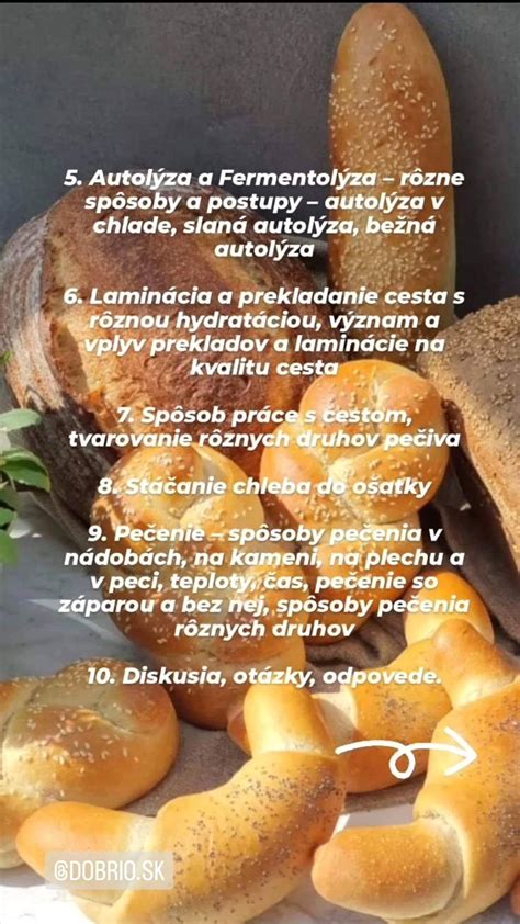 Ilustrácia rôznych druhov celozrnného chleba