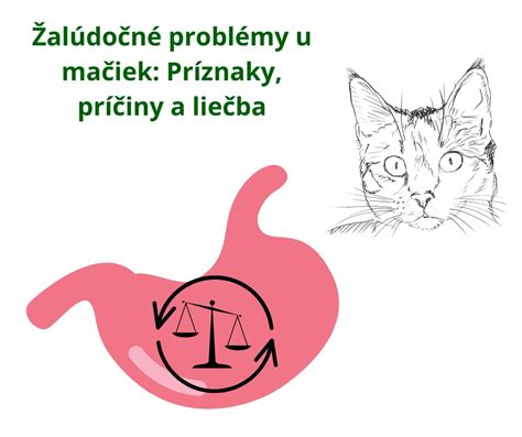 Ilustrácia znázorňujúca rôzne zdravotné problémy mačiek