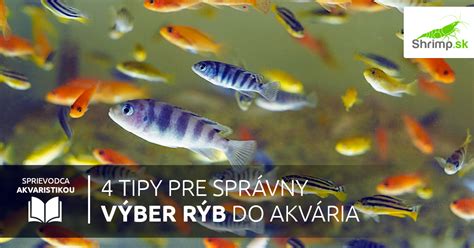 rôzne druhy rýb vhodné do spoločenského akvária