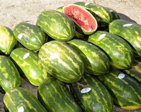 Vodný melón a jeho hydratačné účinky