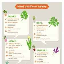 Infografika: Bezpečné bylinky v tehotenstve
