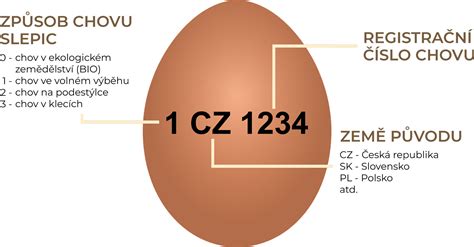 Označovanie vajec a systémy chovu