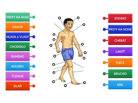 Ilustrácia ľudského tela s vyznačenými oblasťami nadmerného potenia