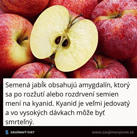 Rozmanitosť plodov čeľade ružovitých