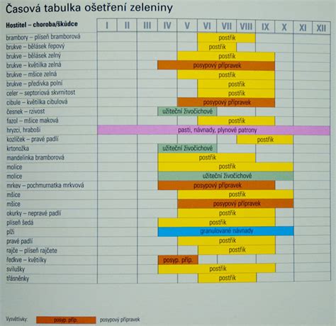 Schéma miešanej výsadby zeleniny