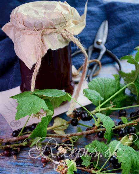 Ilustračné foto čiernych ríbezlí