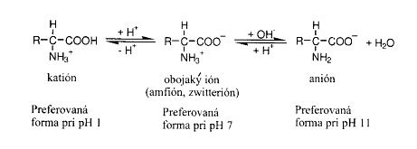 Chemická štruktúra teobromínu